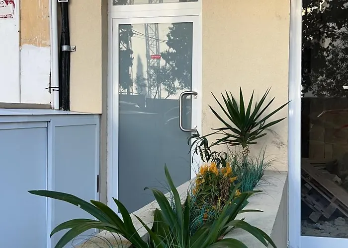 White Lotus 10 Of 10 * St. Paul's Bay