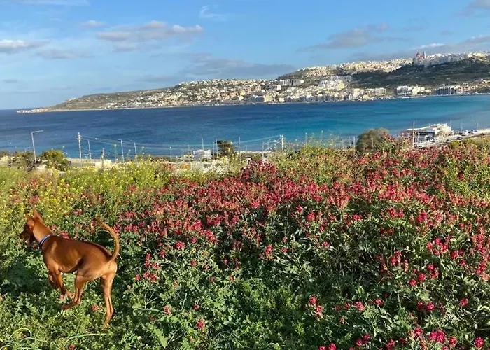 Apartamento White Lotus 10 Of 10 St. Paul's Bay