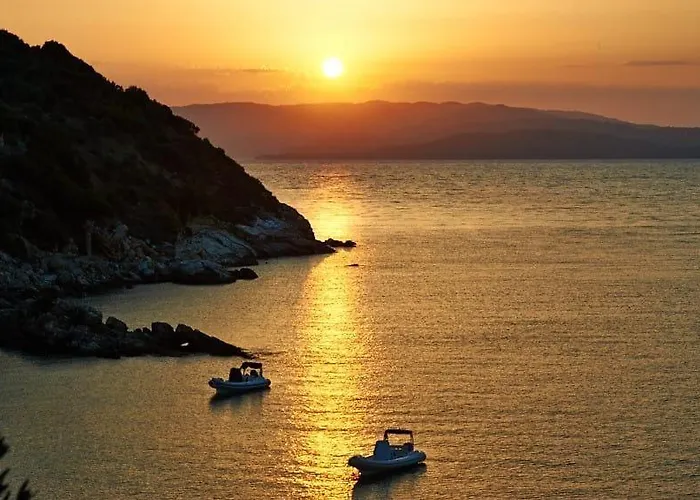 White Lotus 10 Of 10 *